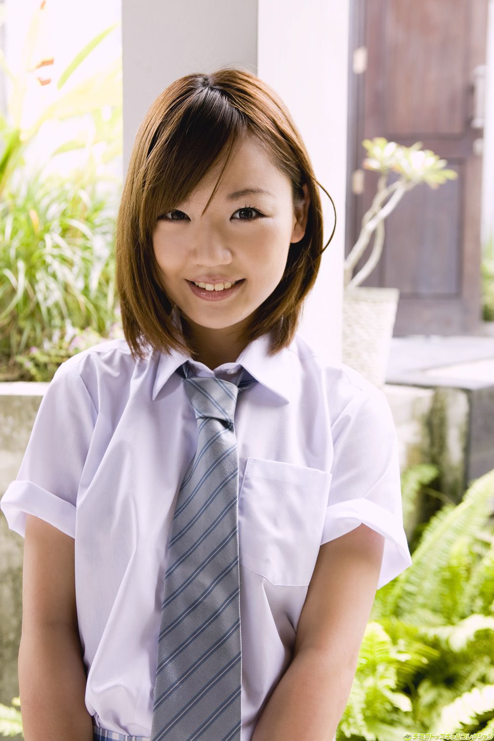 [DGC] NO.842 Asami Tani Asami Tani