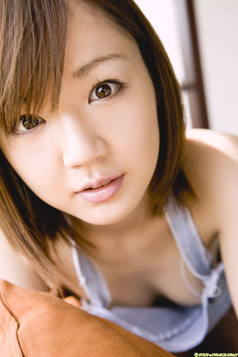 [DGC] NO.842 Asami Tani Asami Tani
