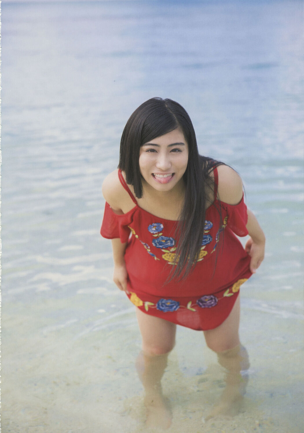 Team Shachihoko "SYACHI TRIP" [PhotoBook]