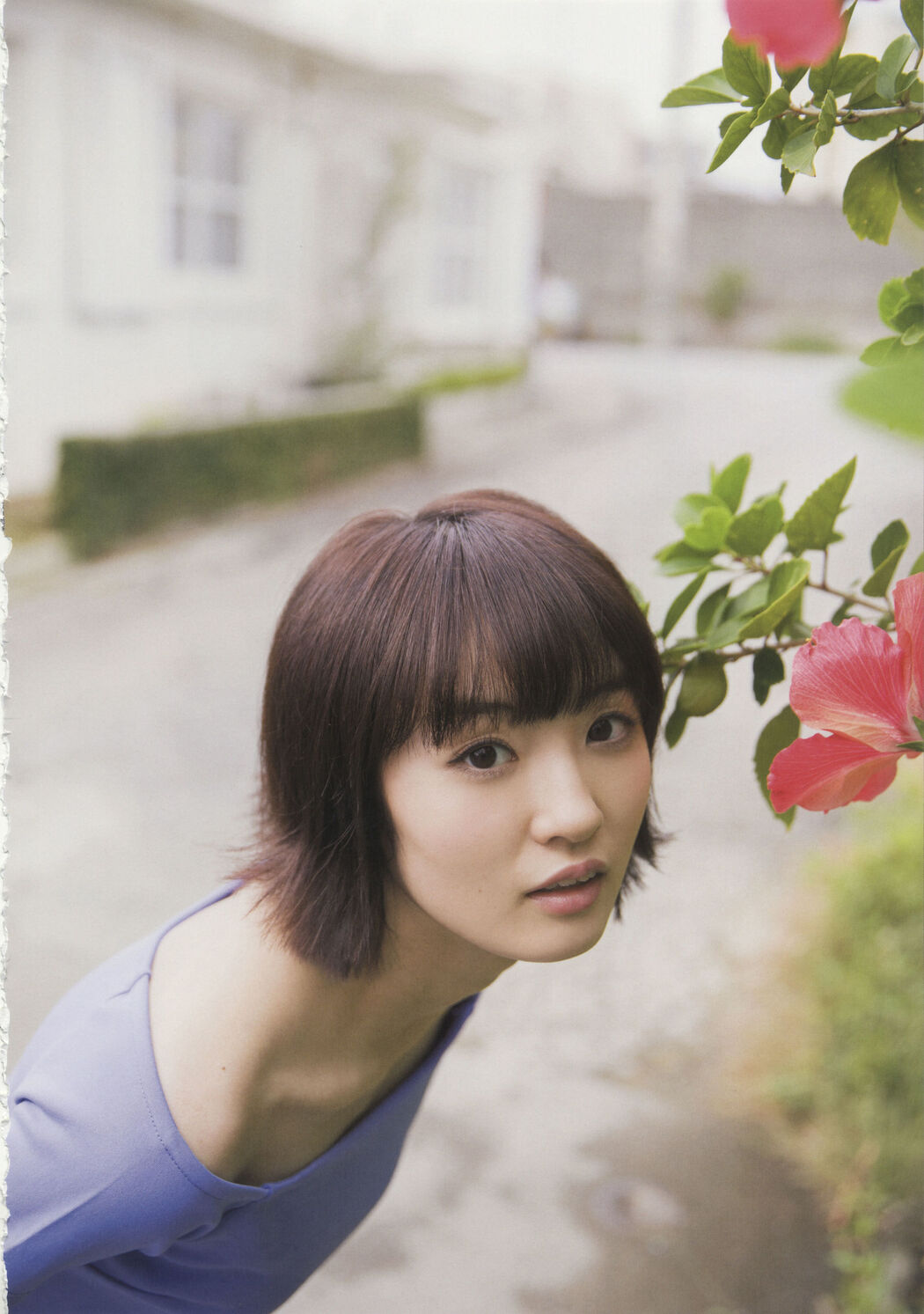 Team Shachihoko "SYACHI TRIP" [PhotoBook]