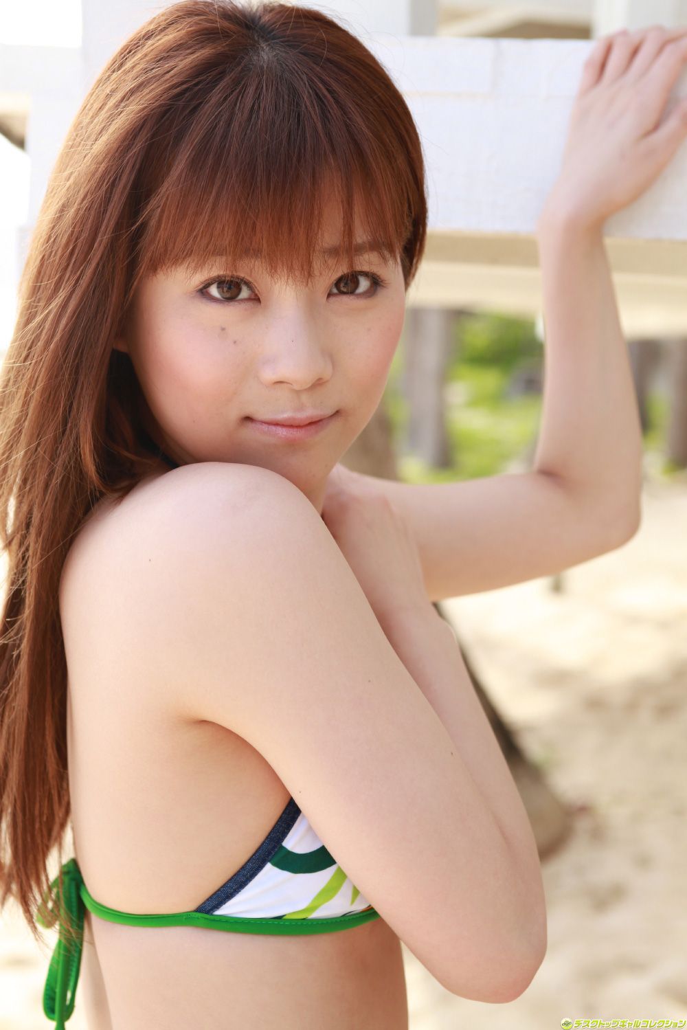 [DGC] NO.917 Satomi Shigemori Satomi Shigemori / Satomi Shigemori Gravure Idols