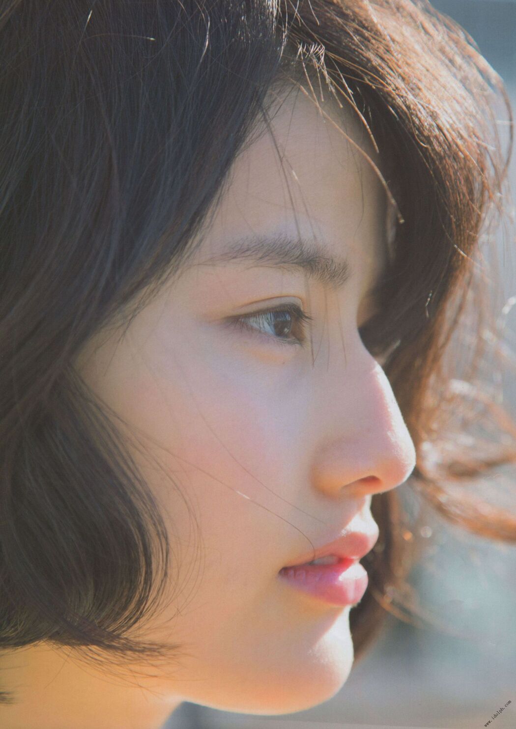 Ai Hashimoto "Magazine Pictures" Photo Collection [PhotoBook]