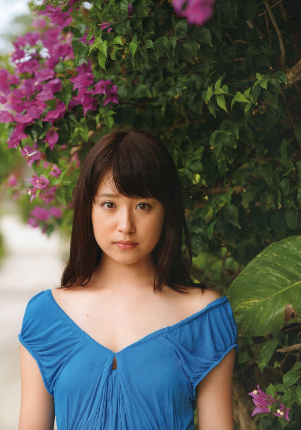 Misa Eto << Color >> [PhotoBook]