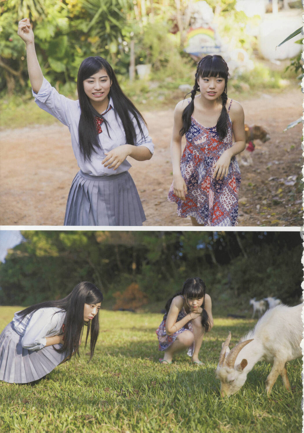 Team Shachihoko "SYACHI TRIP" [PhotoBook]