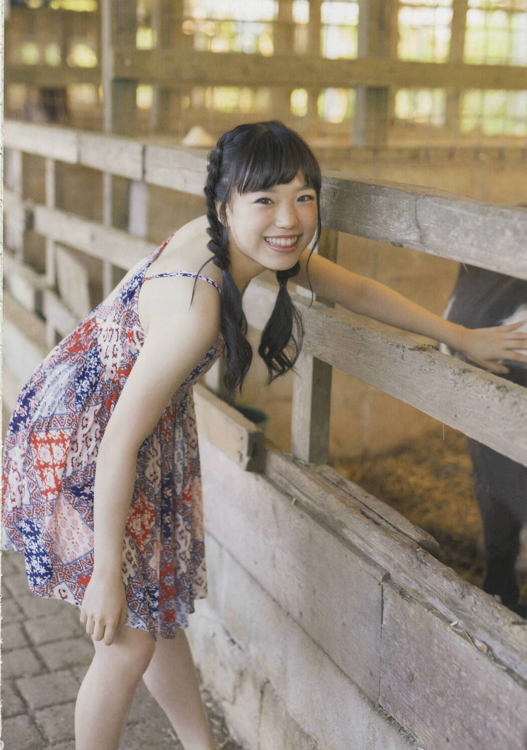 Team Shachihoko "SYACHI TRIP" [PhotoBook]