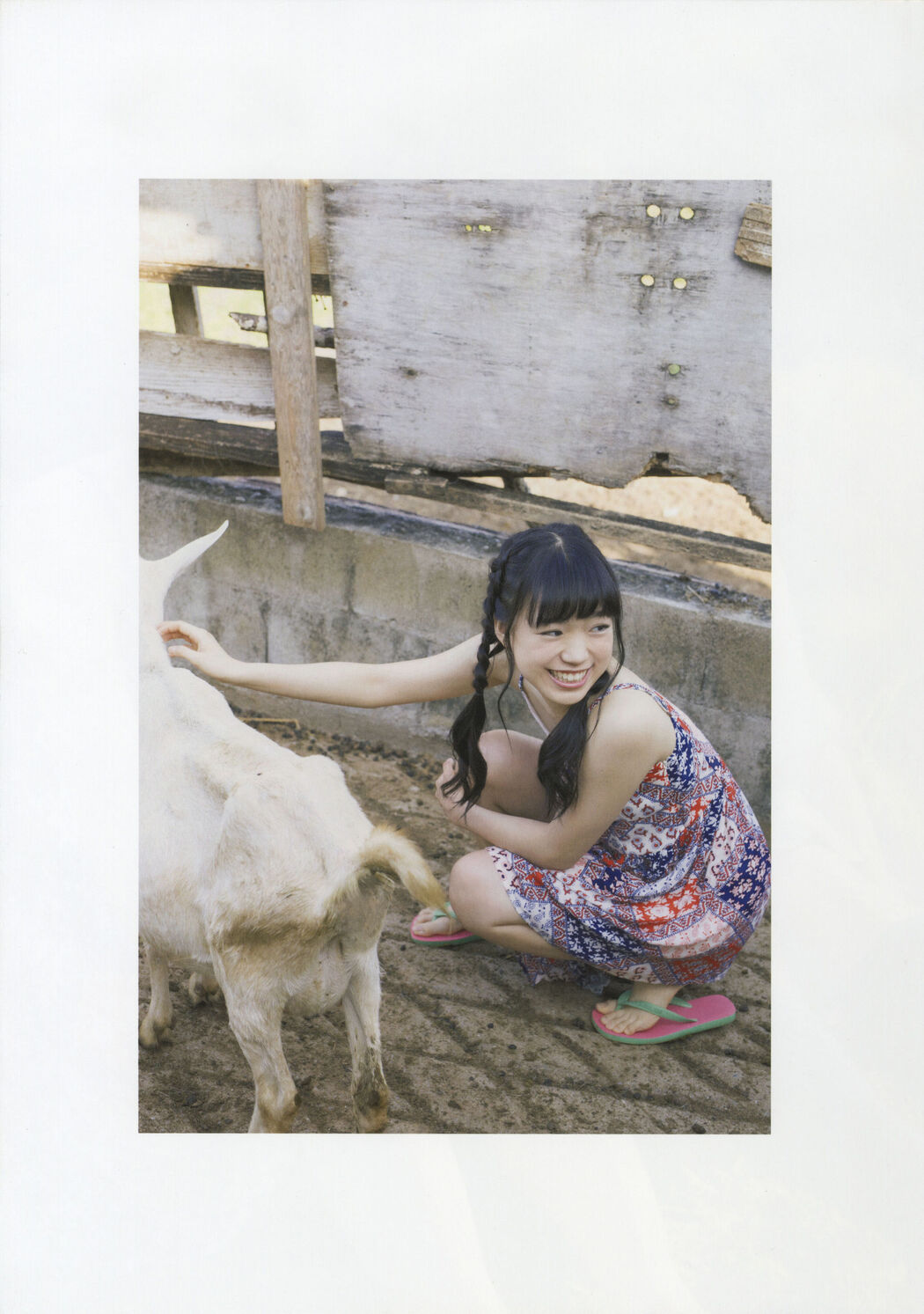 Team Shachihoko "SYACHI TRIP" [PhotoBook]