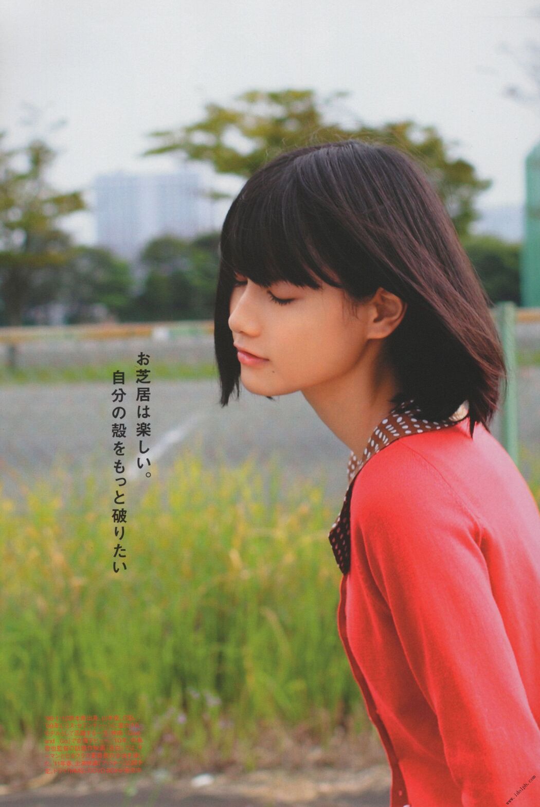 Ai Hashimoto "Magazine Pictures" Photo Collection [PhotoBook]