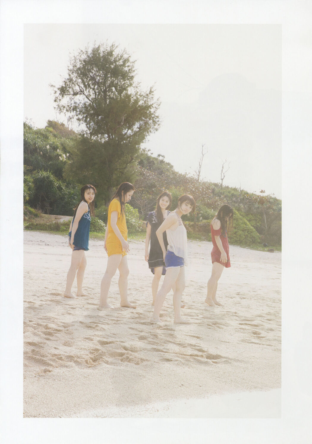 Team Shachihoko "SYACHI TRIP" [PhotoBook]