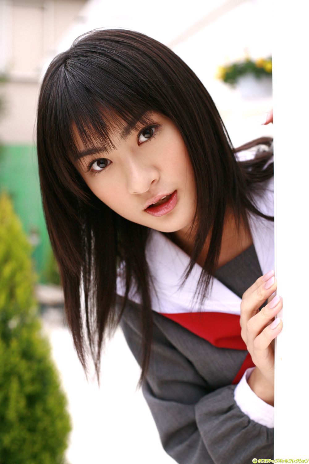 [DGC] NO.552 Mayu Mitsui Mitsui Mayu/藤咲まゆ Top Idols