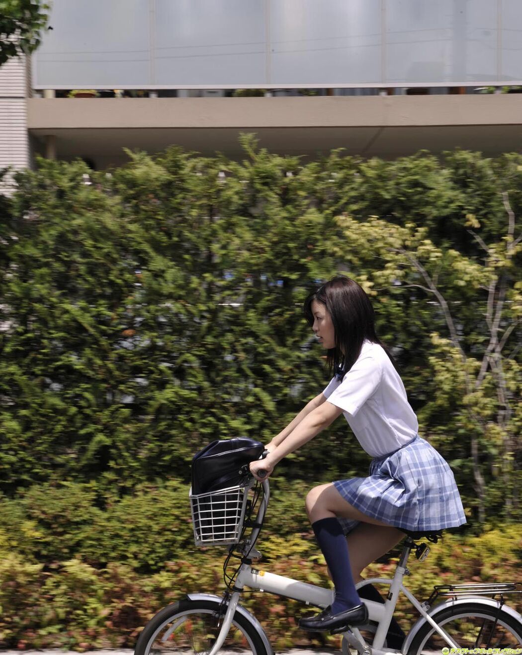 [DGC] NO.892 Tsukasa Aoi 葵司/葵つかさ