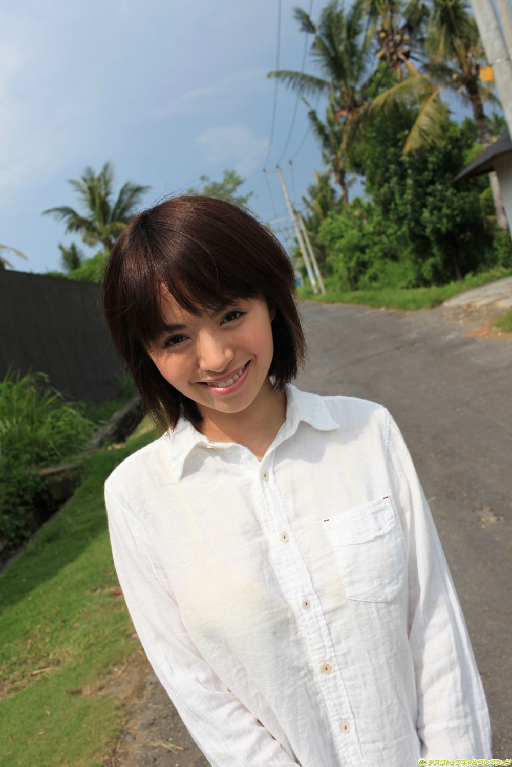 [DGC] NO.975 Rika Hoshimi 星美りか/星美梨香 Adult Idols