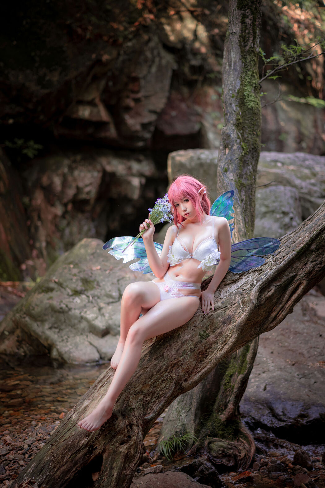 [Net Red COSER Photo] One North is also North - Flower Elf