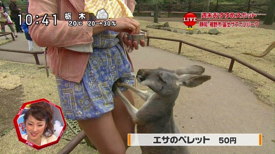  エロネタ！ジワる下ネタおもしろエロ画像！