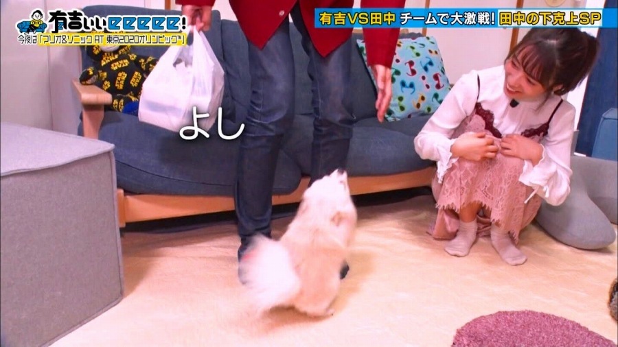  テレビやニュースに偶然映ったJKパンチラ！
