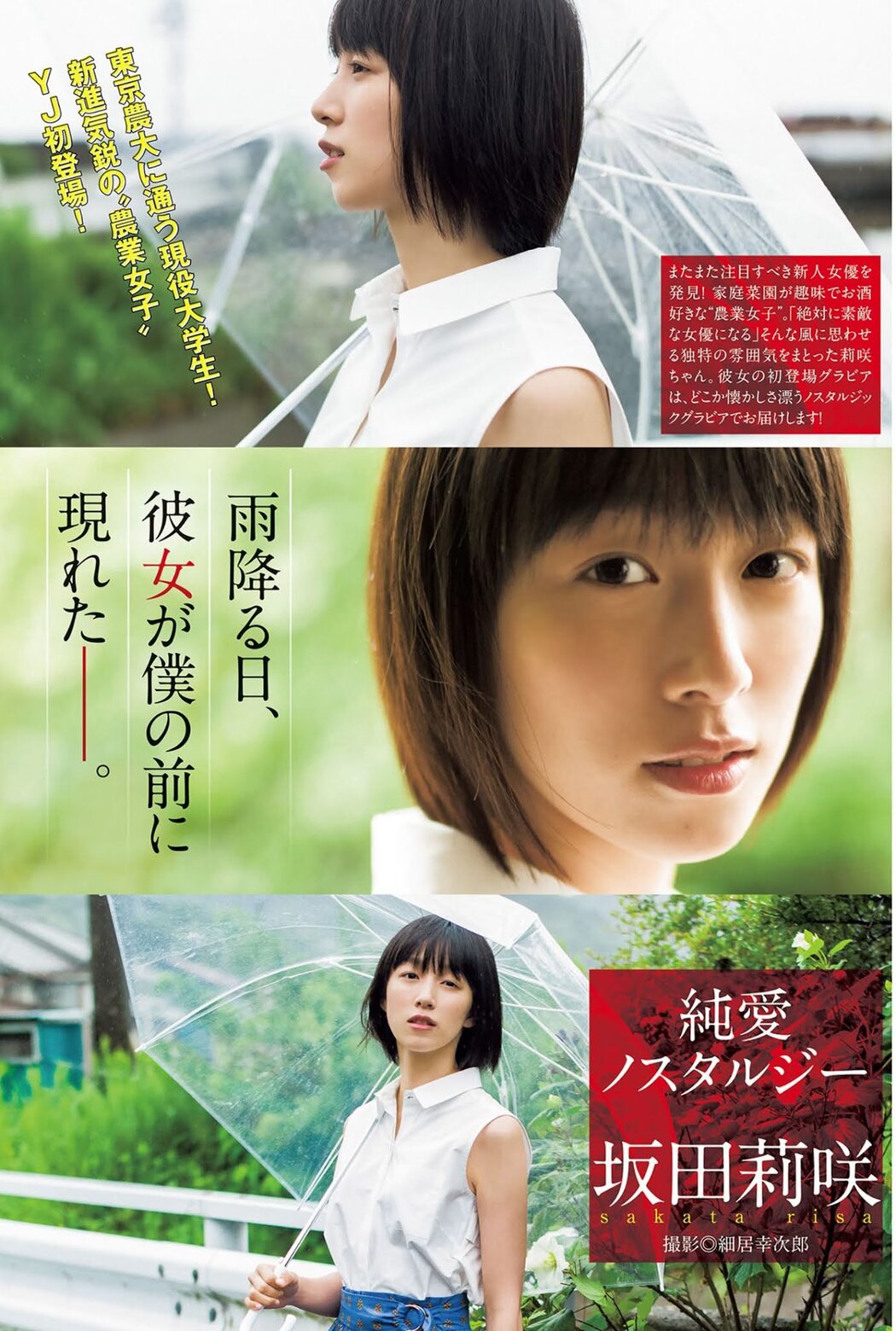 Risa Sakata 坂田莉咲, Young Jump 2020 No.51 (ヤングジャンプ 2020年51号) Cover Photo