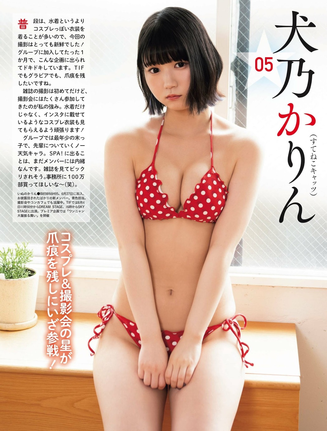 第6回 水着でアイドル頂上決戦 TIF2023, Weekly SPA! 2023.08.08 (週刊SPA! 2023年8月8日号)