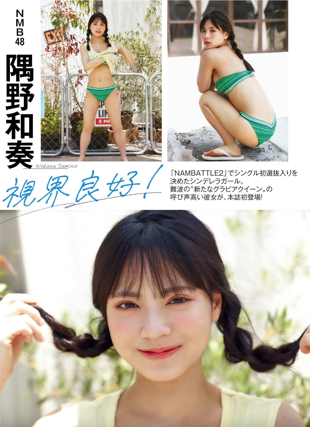 Wakana Sumino 隅野和奏, PLATINUM FLASH 2022 VOL.19 Cover Photo