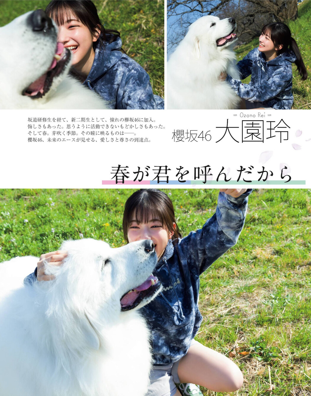 Rei Ozono 大園玲, Platinum Flash 2022 Vol.18