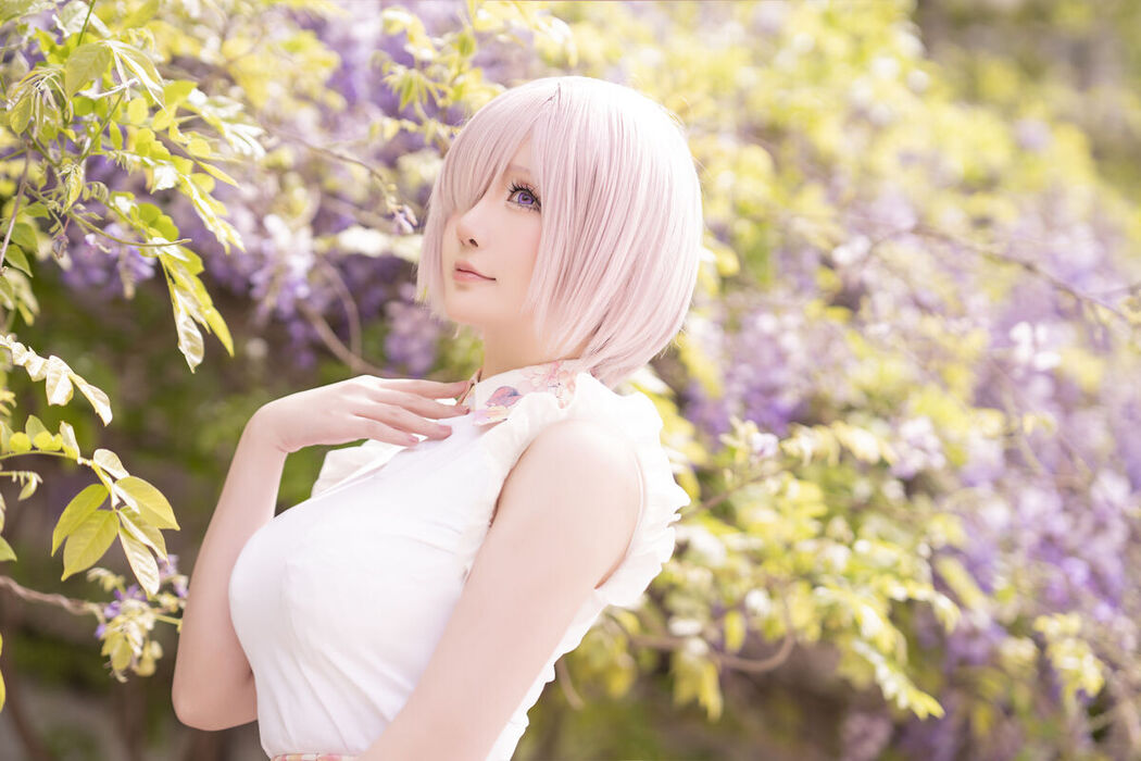 Coser@星之迟迟Hoshilily – Fgo-玛修