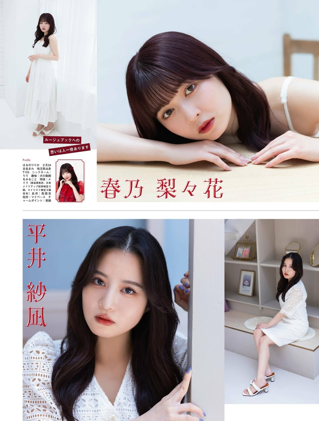 ルージュブック 物語の始まり, PLATINUM FLASH 2023 VOL.23