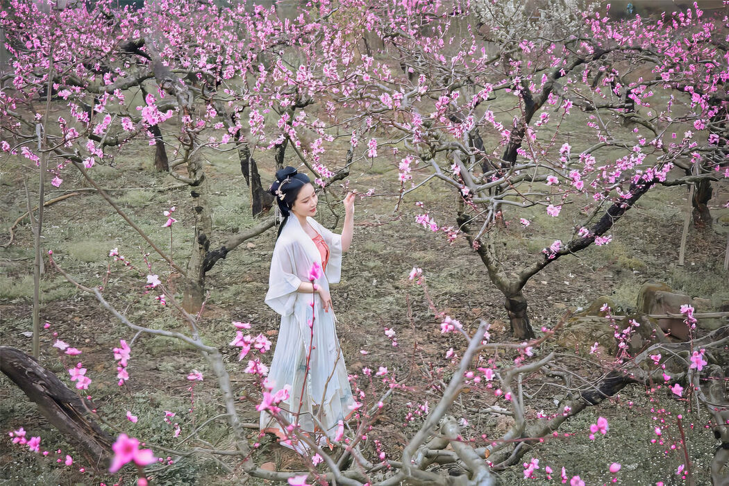 Coser@年年Nnian – 三月花
