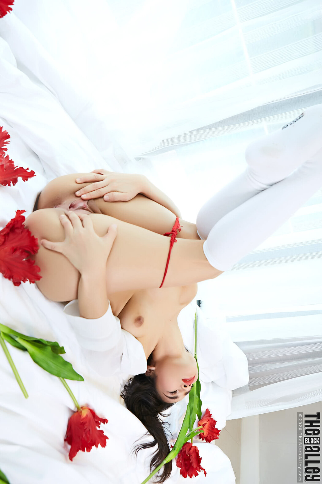 Lemon The Black Alley Photobook Set.14