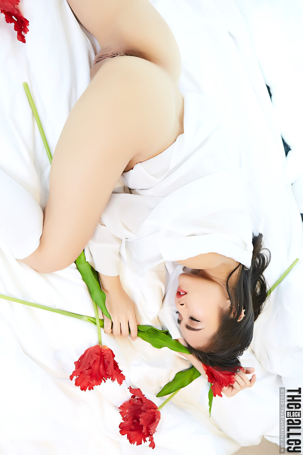 Lemon The Black Alley Photobook Set.14