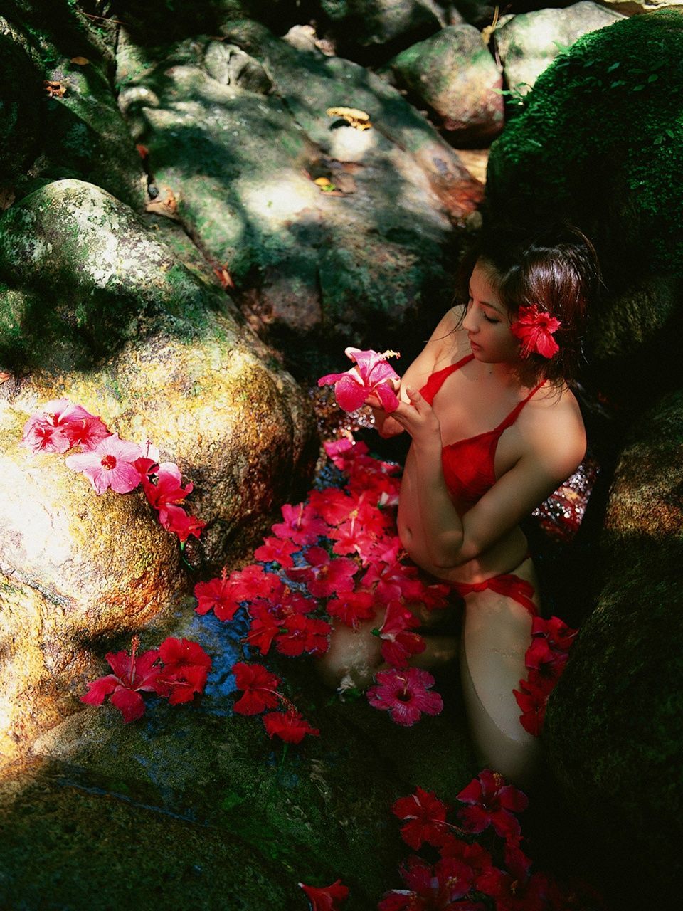 Rina Nagasaki "LIGHT IN THE NATURE" [VYJ]