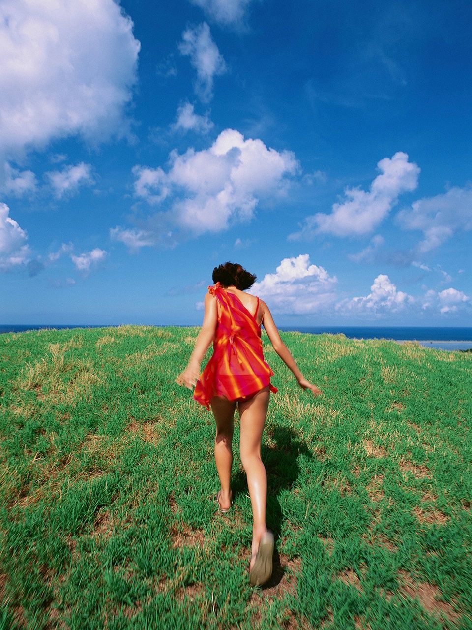 Rina Nagasaki "LIGHT IN THE NATURE" [VYJ]