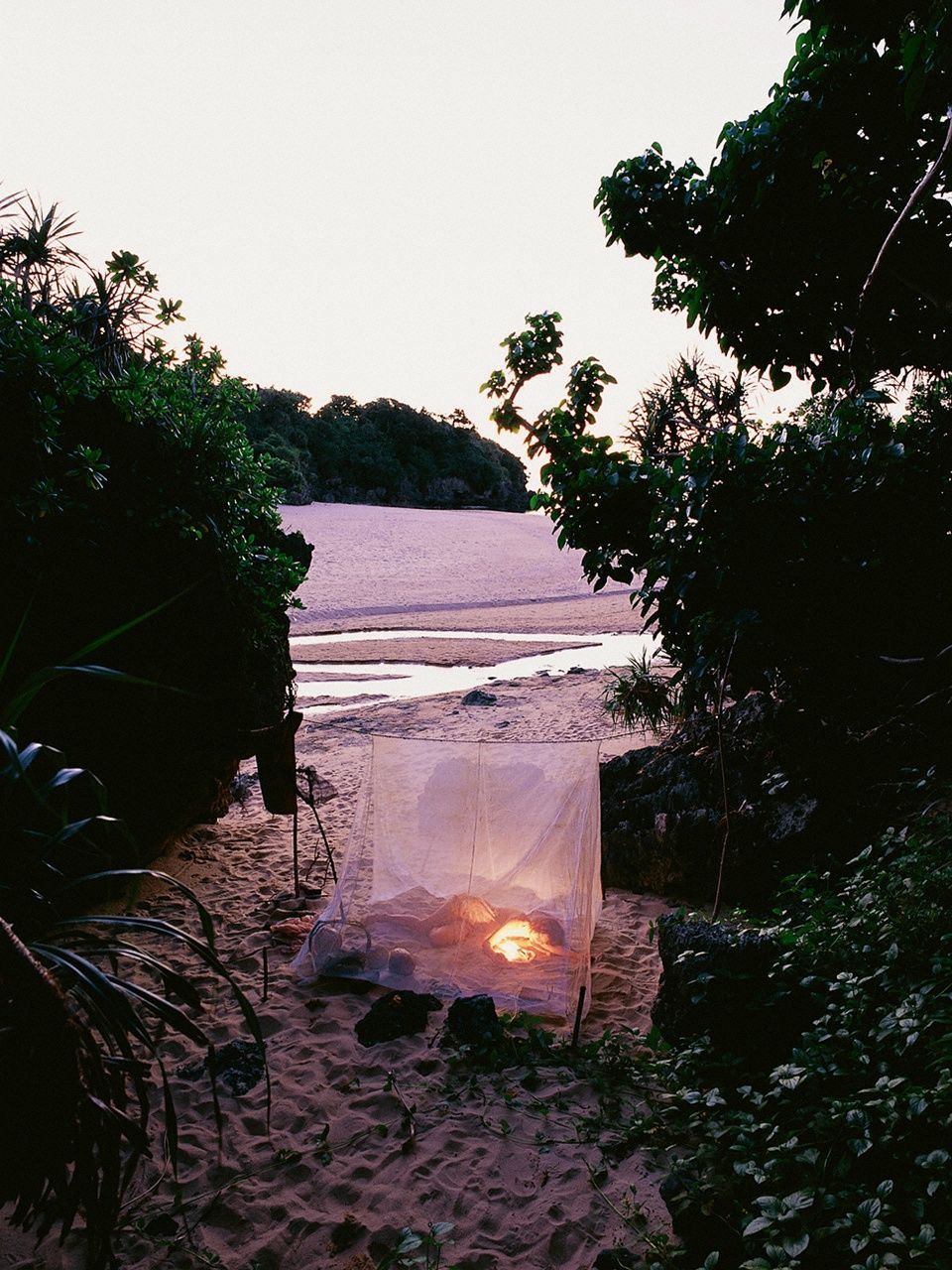 Rina Nagasaki "LIGHT IN THE NATURE" [VYJ]