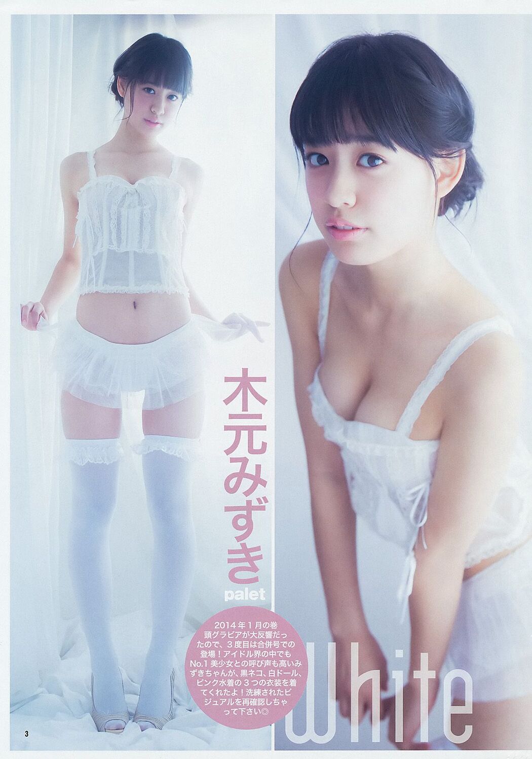 Yua Shinkawa Mizuki Kimoto Collection Ultimate 2014 [Weekly Young Jump] 2014 No.21-22 Photo Magazine