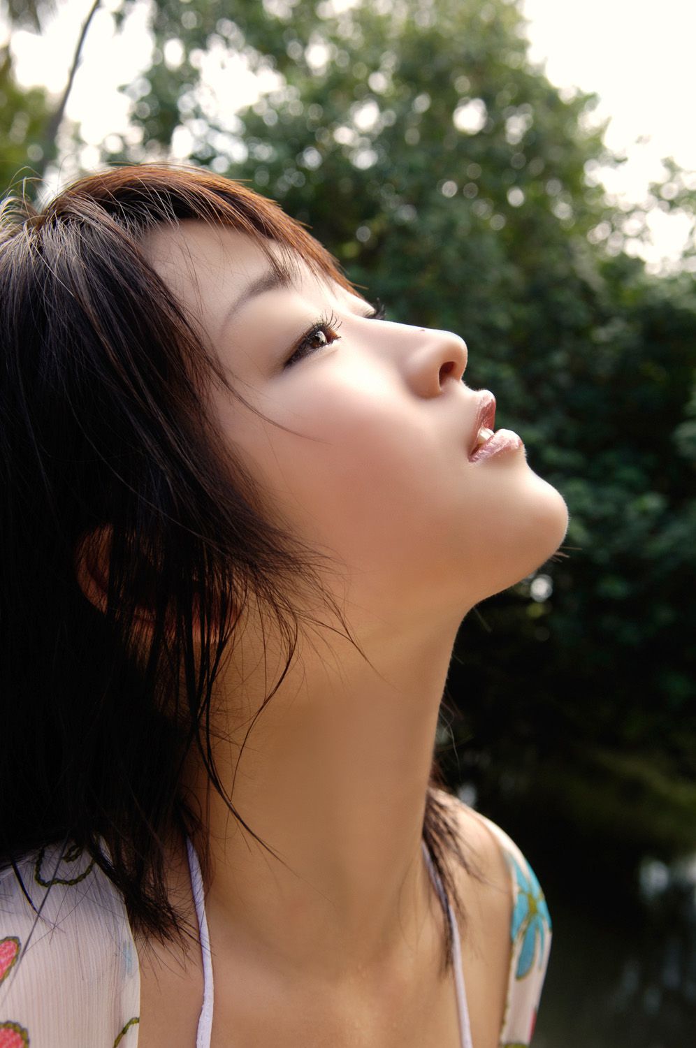 [DGC] NO.343 Risa Shimamoto Risa Shimamoto