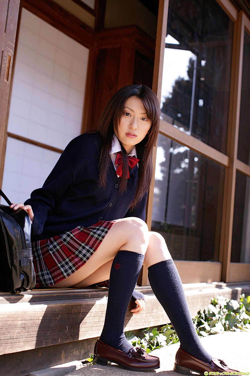 [DGC] NO.604 Misa Shinozaki