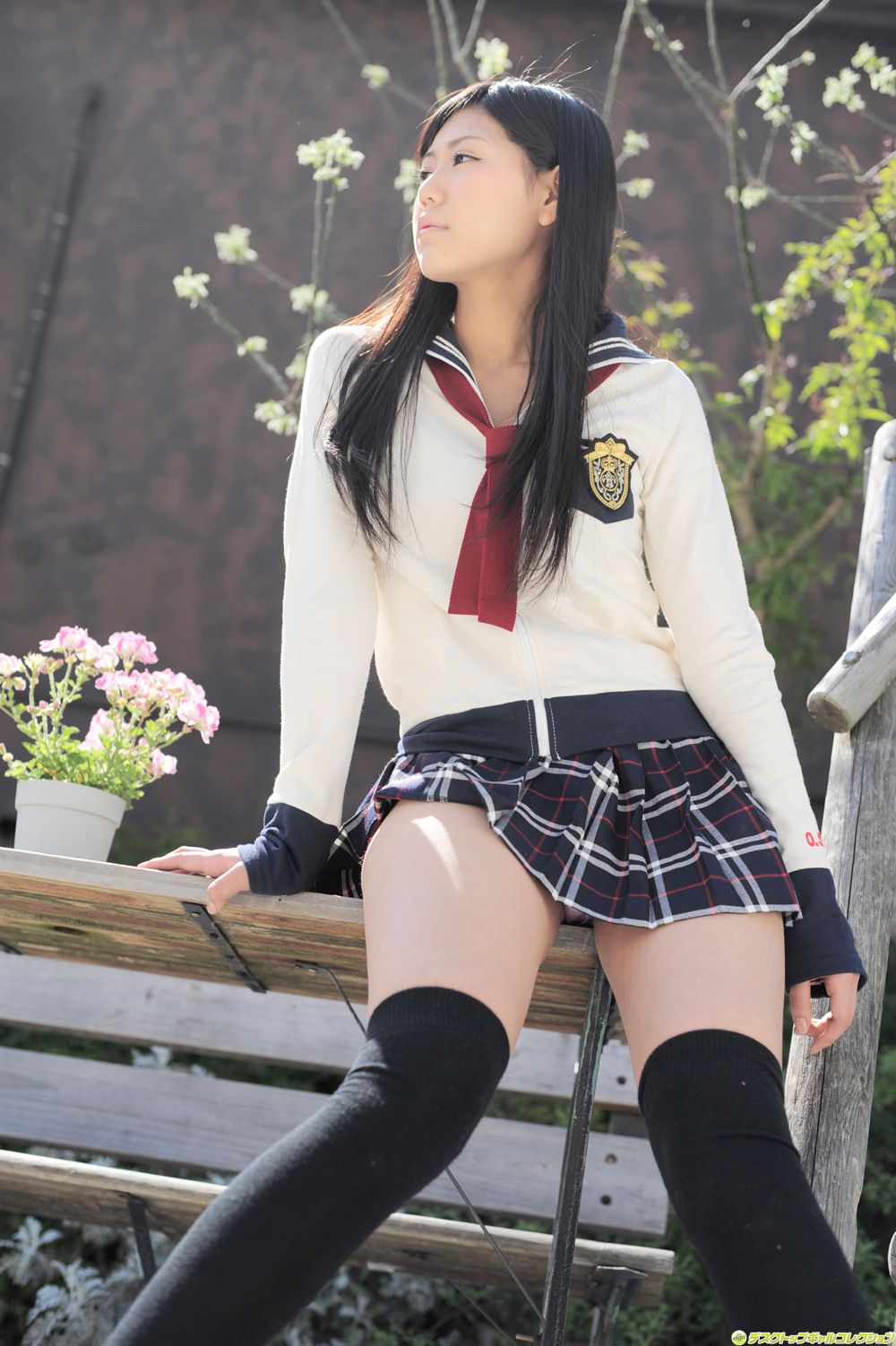 [DGC] NO.969 Saemi Shinohara Saemi Shinohara / Samii Uniform Beautiful Girl Heaven