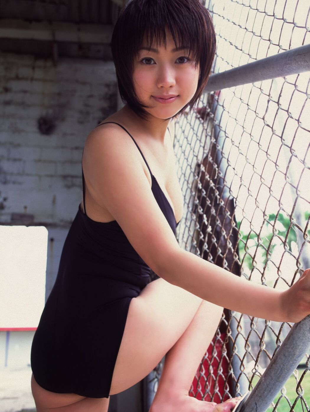[DGC] NO.172 Aya Kanai Aya Kanai