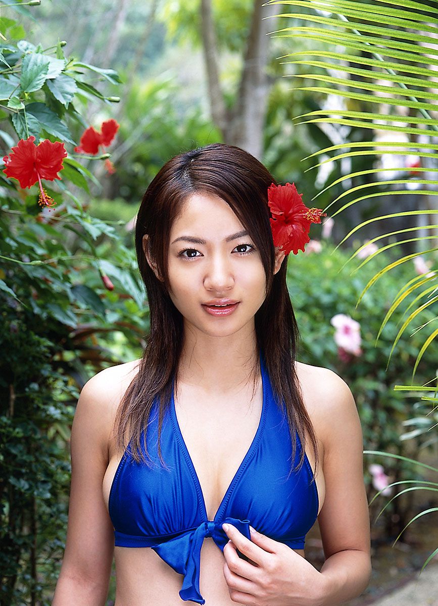 [DGC] NO.015 Ayumi Ninomiya Ayumi Ninomiya / Ayumi Ninomiya