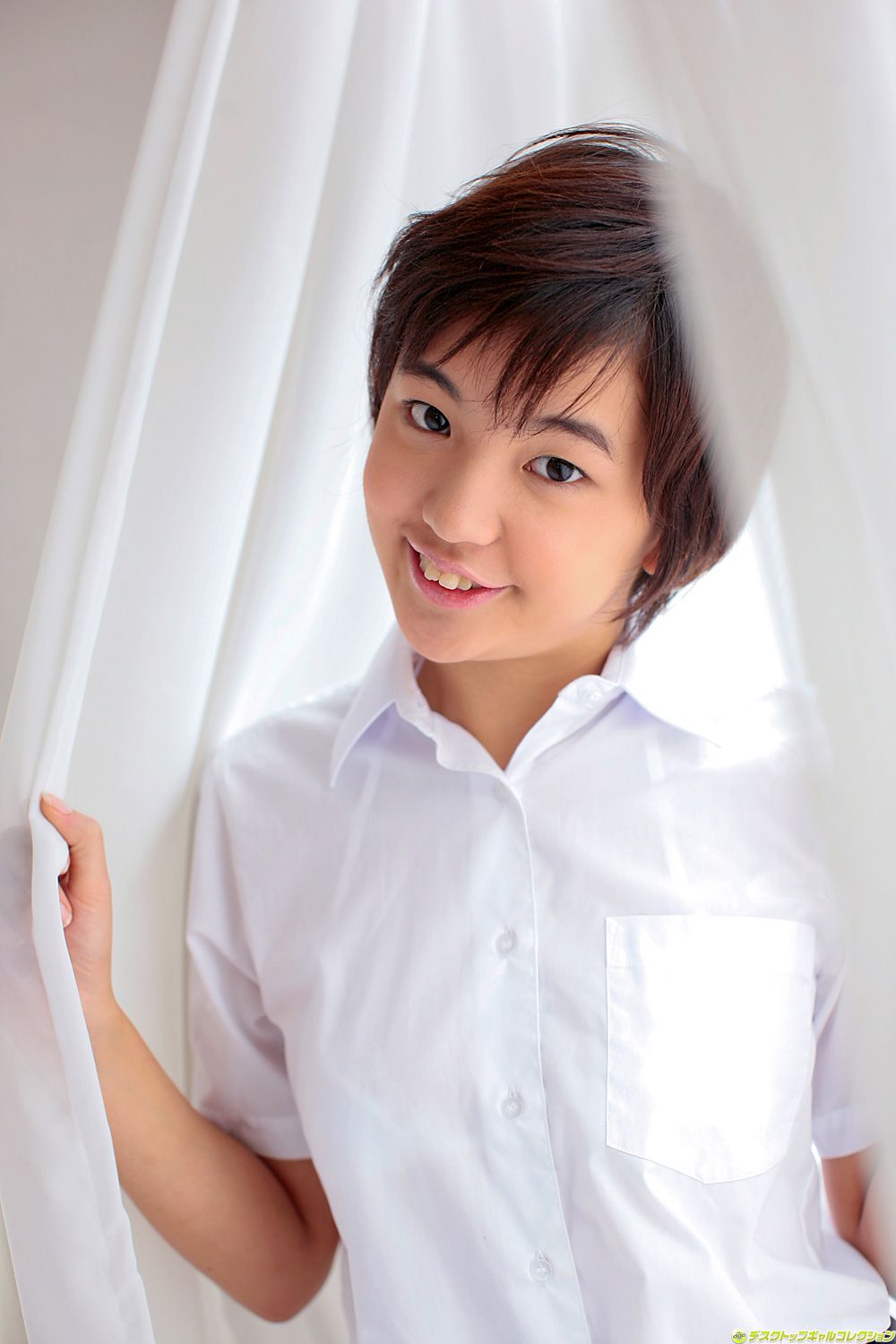 [DGC] NO.801 Sakura Aida あいださくら/爱田櫻 Adult Idols