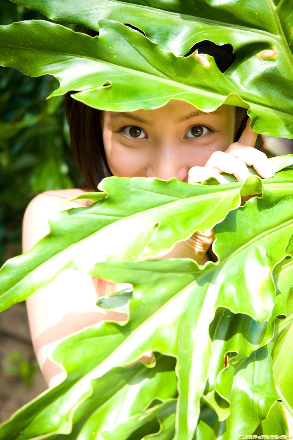 [DGC] NO.610 Saaya Irie Gravure Idols