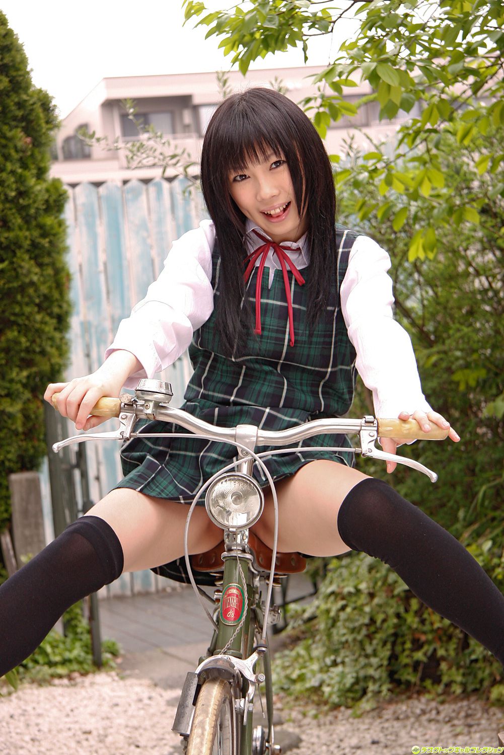 [DGC] NO.733 Tsubaki Sakurai 桜井つばき