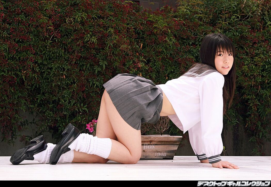 [DGC] NO.446 Moe Wakaki Moe Wakaki Uniform Beautiful Girl Heaven