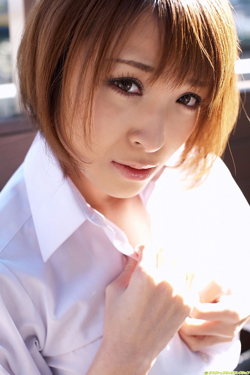 [DGC] NO.952 Hikari Shina Hikaru Shiina / Rina Hanekawa Adult Idols