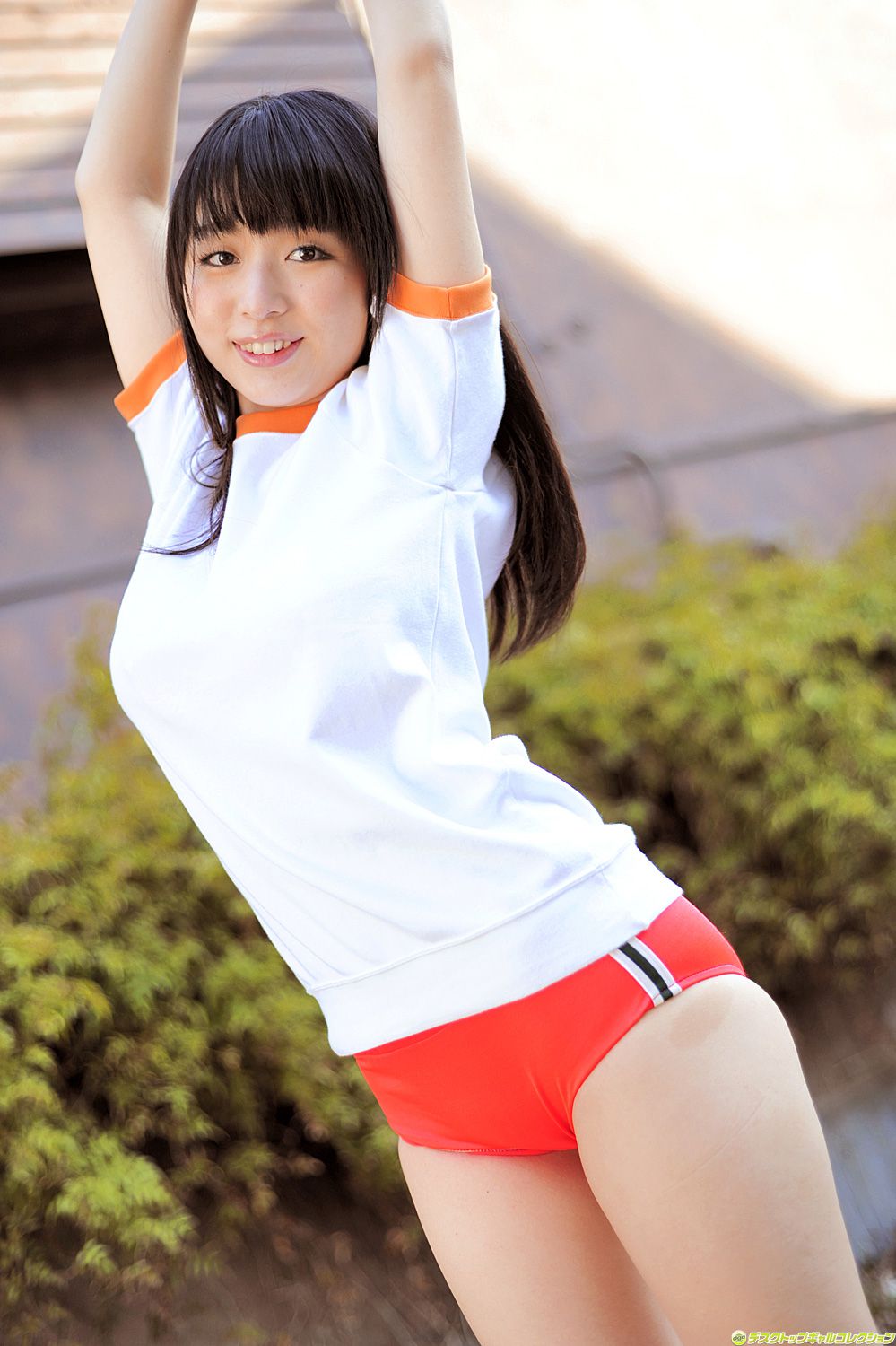 [DGC] NO.981 Megumi Suzumoto Megumi Suzumoto / Megumi Nagimoto Uniform Beautiful Girl Heaven