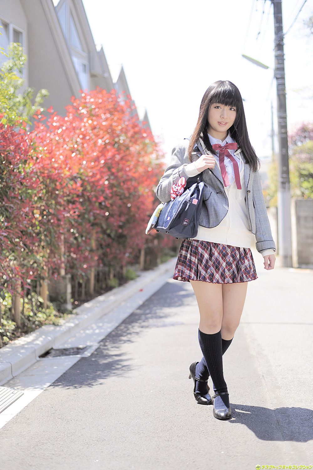 [DGC] NO.981 Megumi Suzumoto Megumi Suzumoto / Megumi Nagimoto Uniform Beautiful Girl Heaven