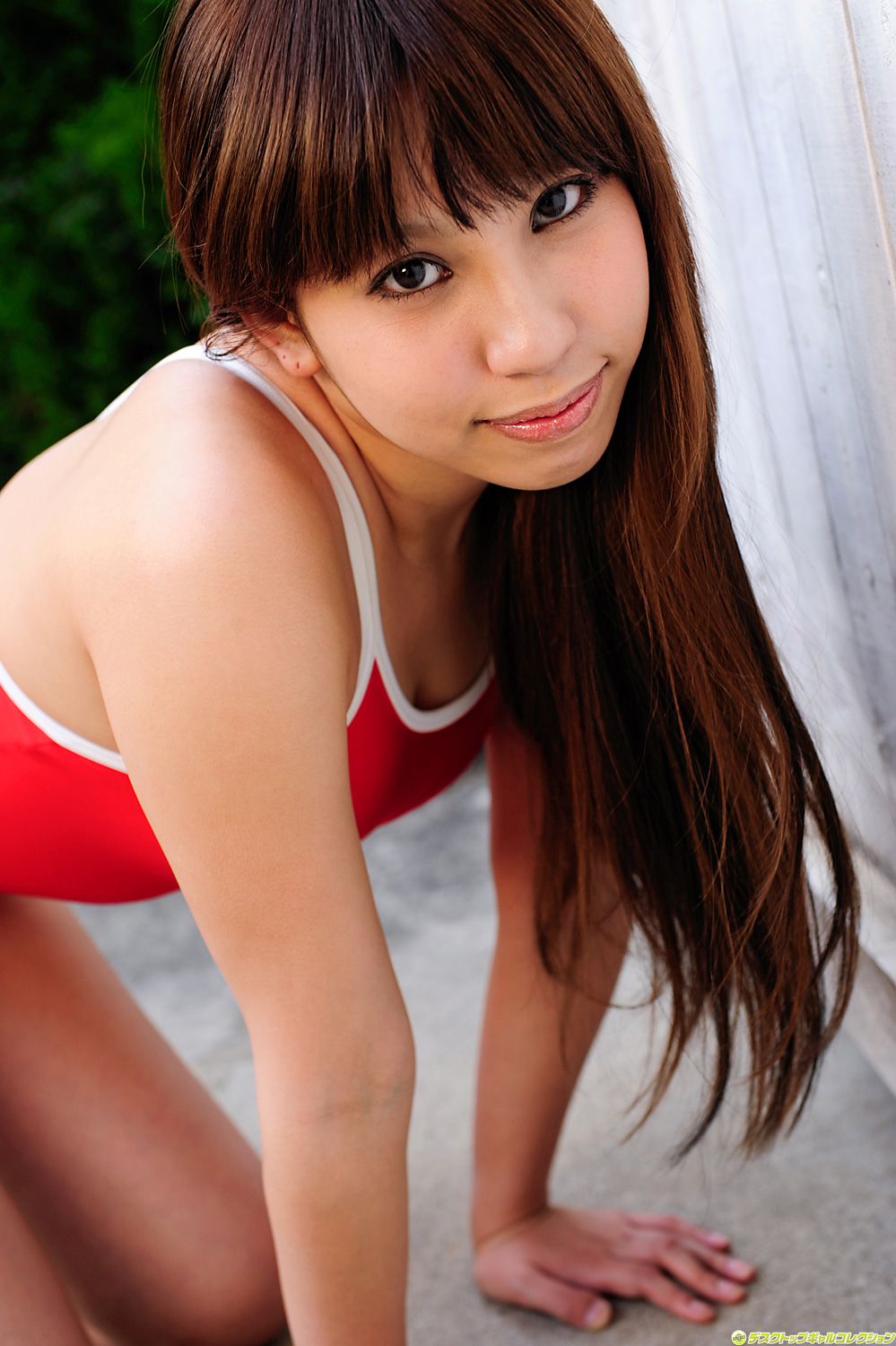 [DGC] NO.868 Momoka Himenoki