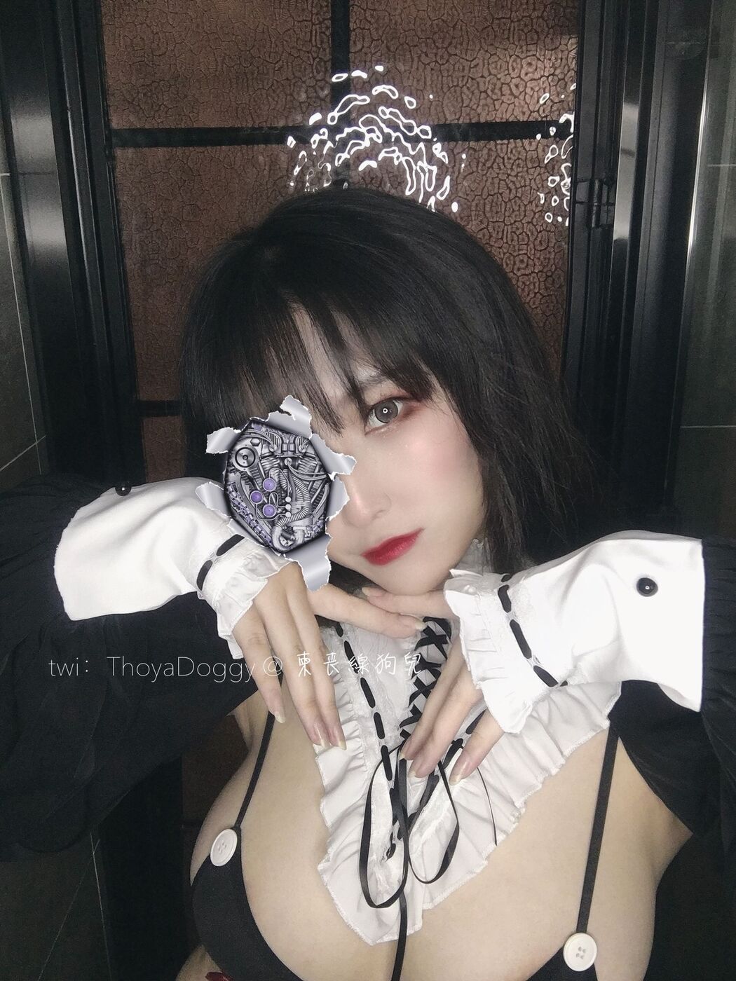 [Welfare COS] Qixingjia puppy - black and white Cover Photo