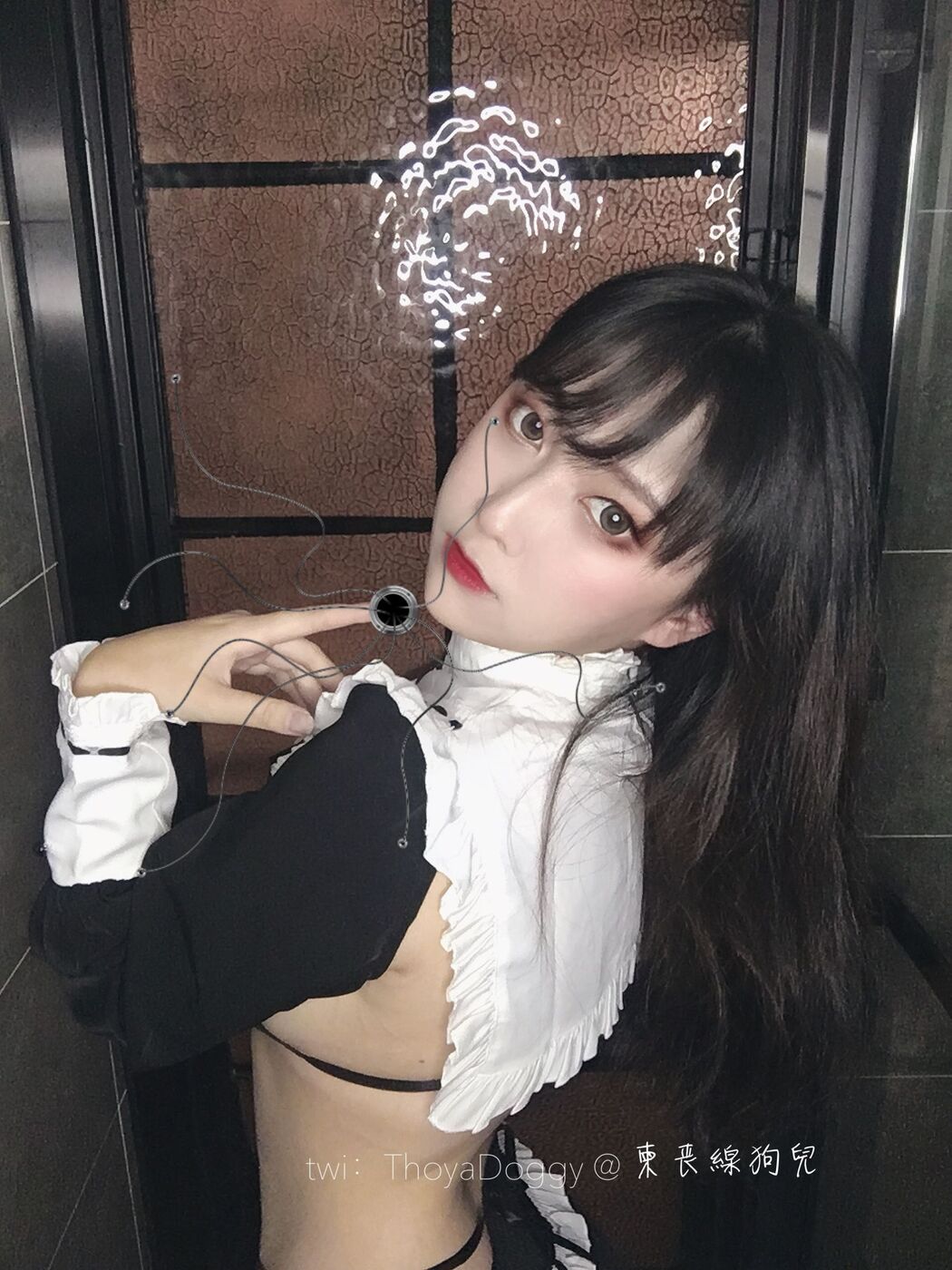 [Welfare COS] Qixingjia puppy - black and white