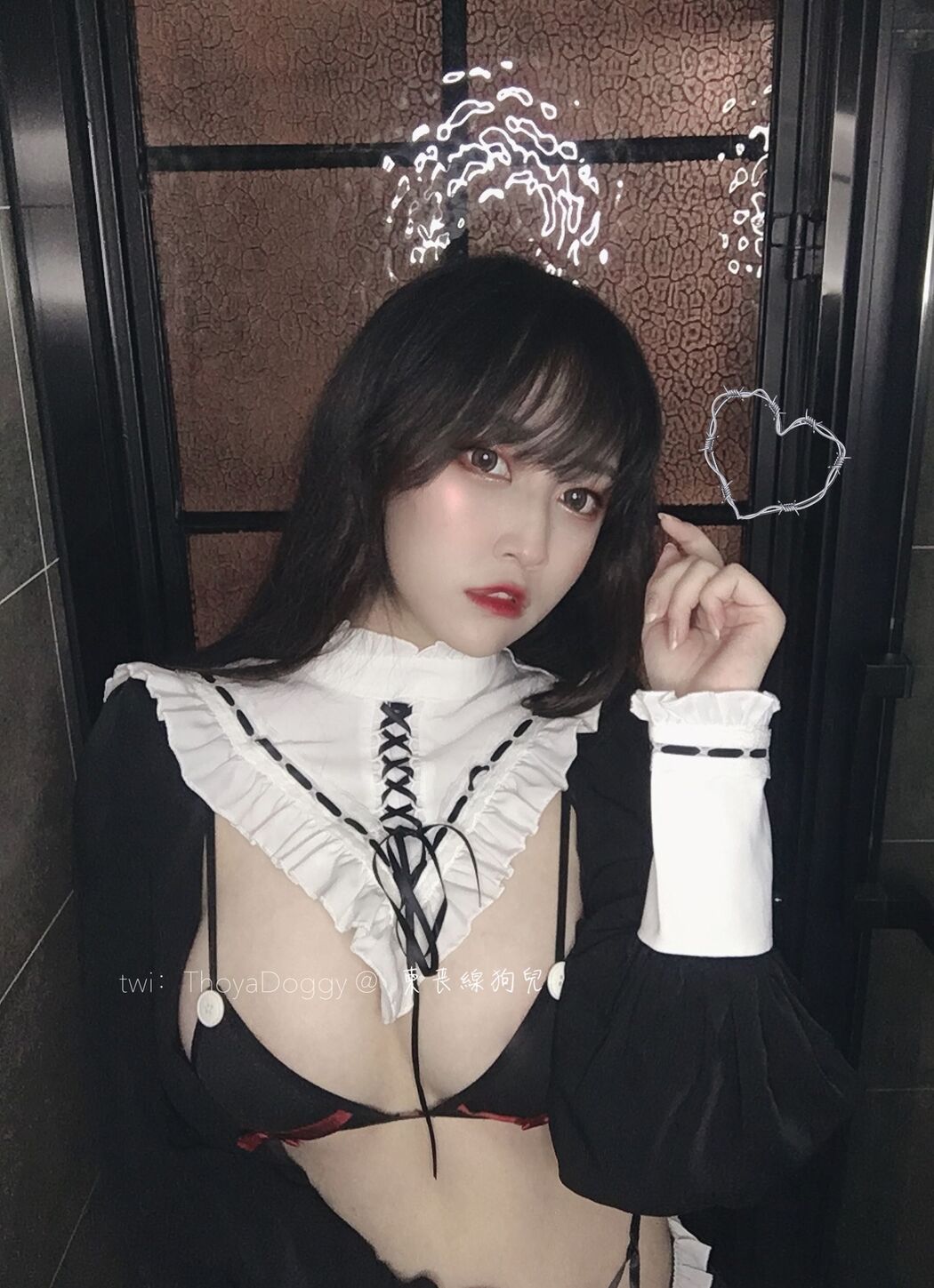 [Welfare COS] Qixingjia puppy - black and white