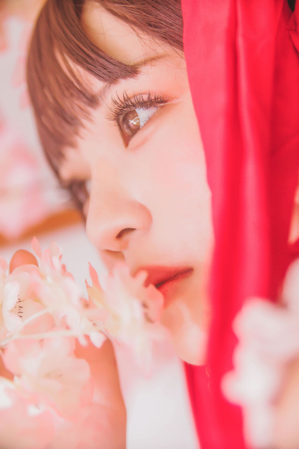 Crazy Cat ss "Reimu" [Lori COS]
