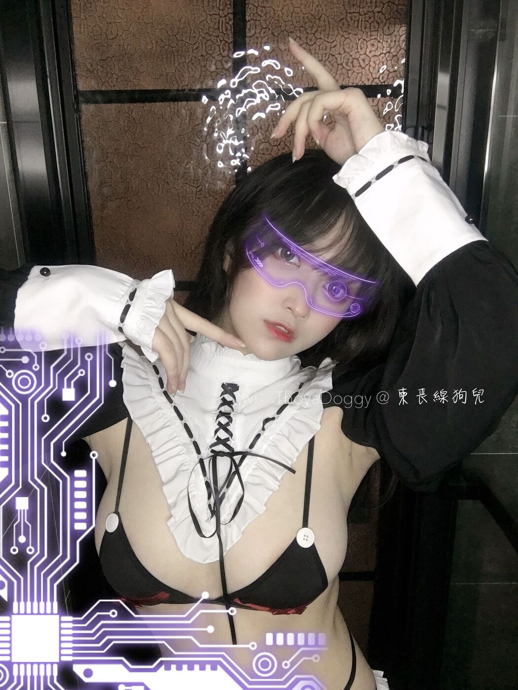 [Welfare COS] Qixingjia puppy - black and white