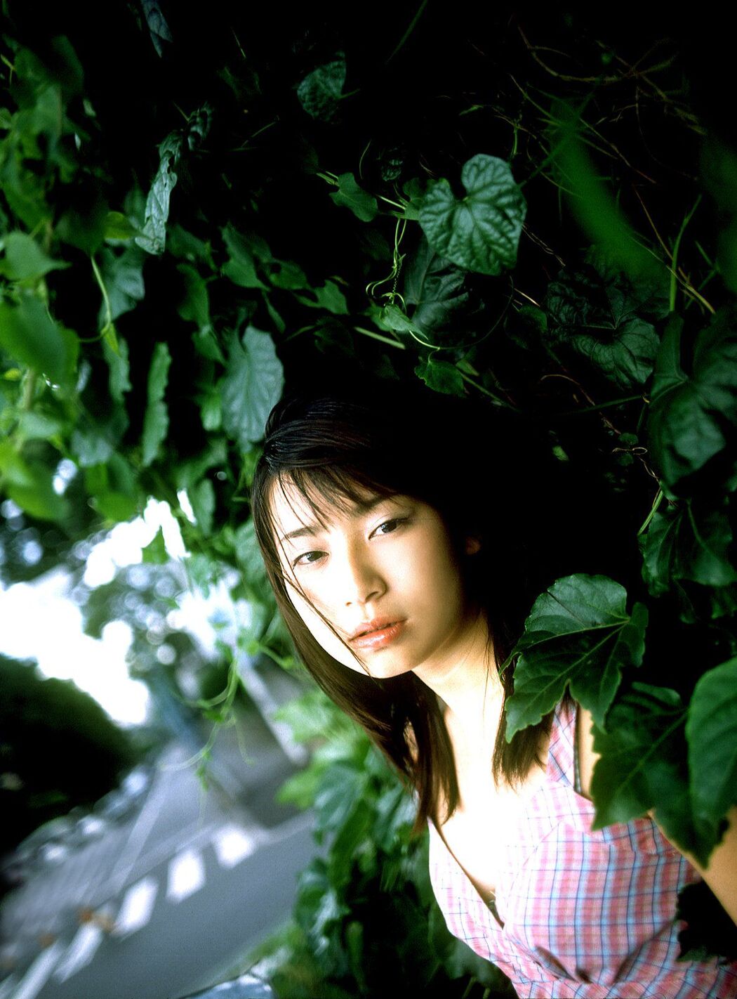 [NS Eyes] SF-No.073 Ayuko Omori Ayuko Omori / Ayuko Omori